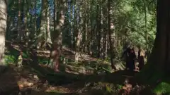 Однажды в Сказке 1 сезон 19 серия